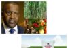 DANGOTE RESTORING VALUE TO AGRICULTURE, SPONSORS 2025 AGRIC SHOW
